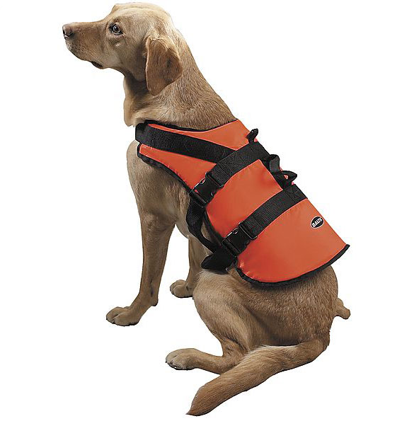 Baltic Pet Pluto Buoyancy Aid - Wetndry Boardsports