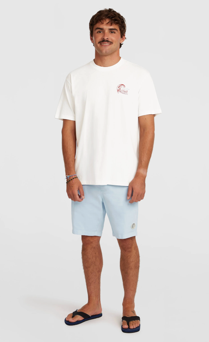 O'Neill O'Riginals Walk Shorts (Spindle) - Wet N Dry Boardsports - Model