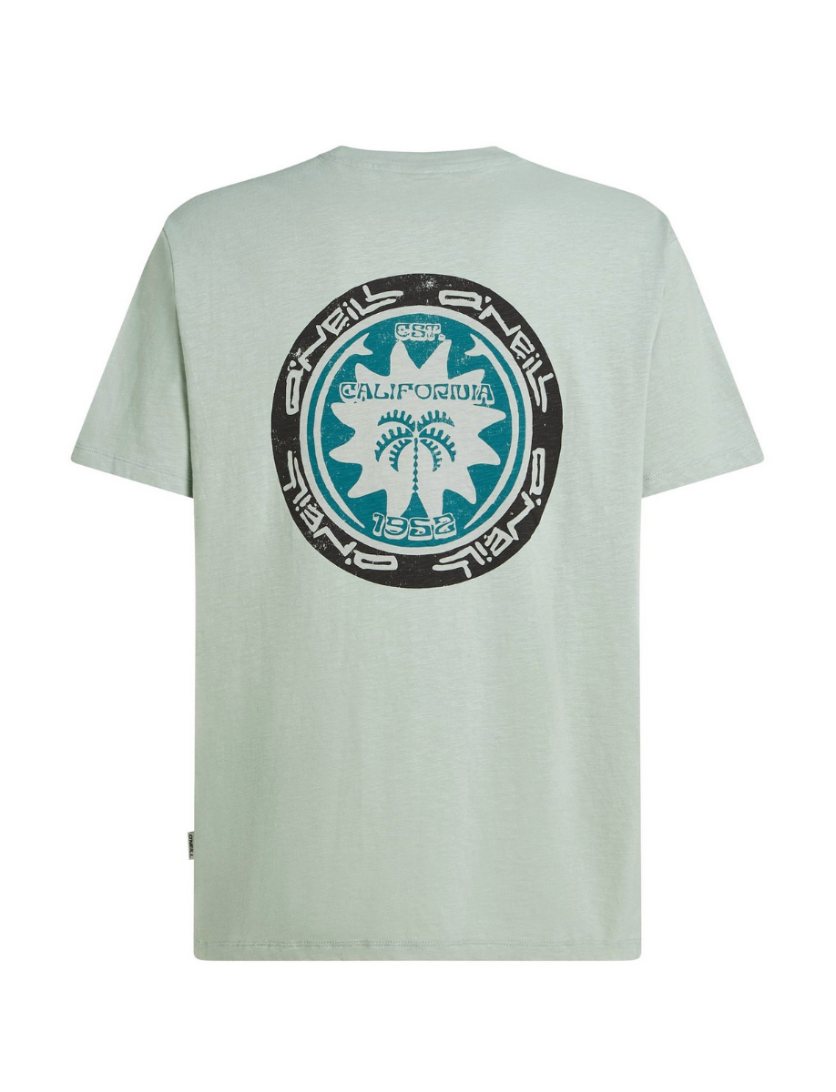 O'Neill Slub Back Print T-Shirt (Marble Arch) - Wetndry Boardsports