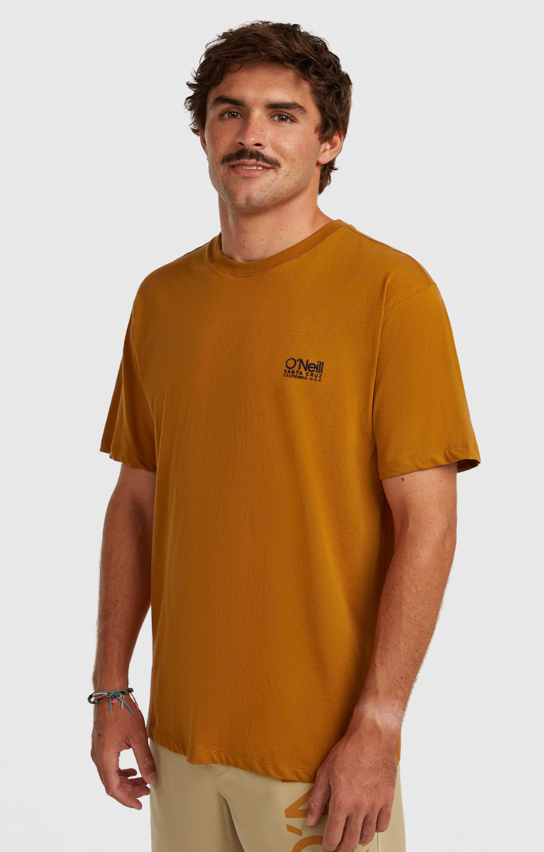 O'Neill O'Riginals Cali T-Shirt (Tandoori) - Wetndry Boardsports - Model
