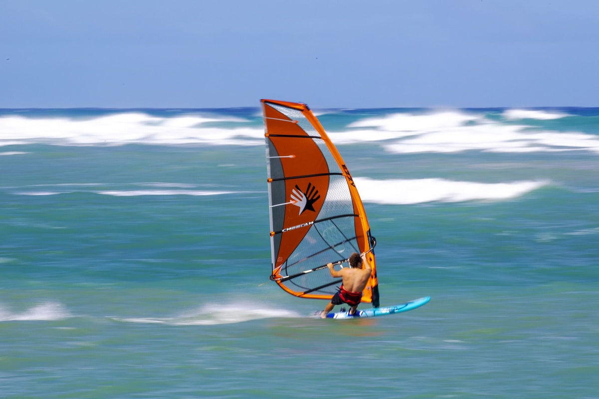 Ezzy Cheetah Windsurf Sail 2020 - WetnDry Boardsports orange speed