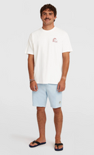 O'Neill O'Riginals Walk Shorts (Spindle) - Wet N Dry Boardsports - Model