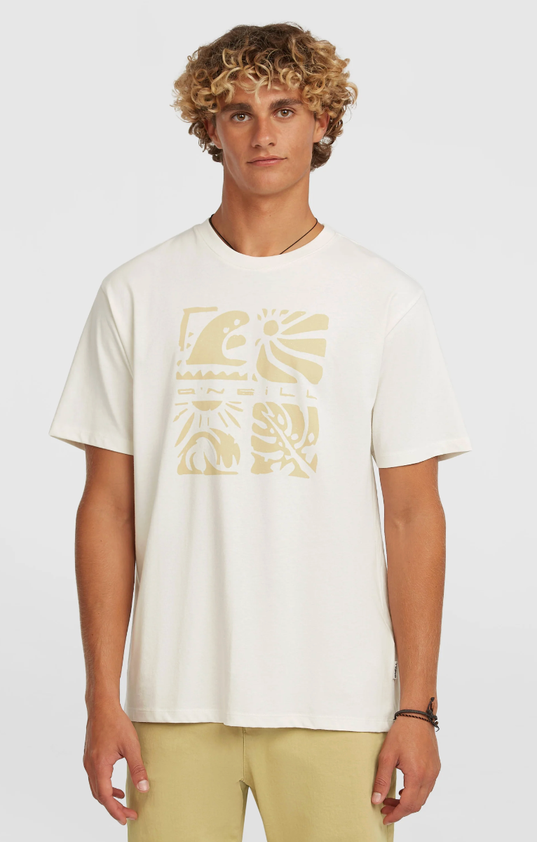 O'Neill Melange Front Print T-Shirt (Snow White) - Wetndry Boardsports - Model 1