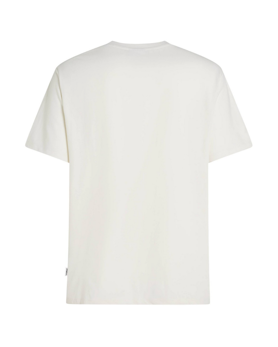 O'Neill Melange Front Print T-Shirt (Snow White) - Wetndry Boardsports - Back