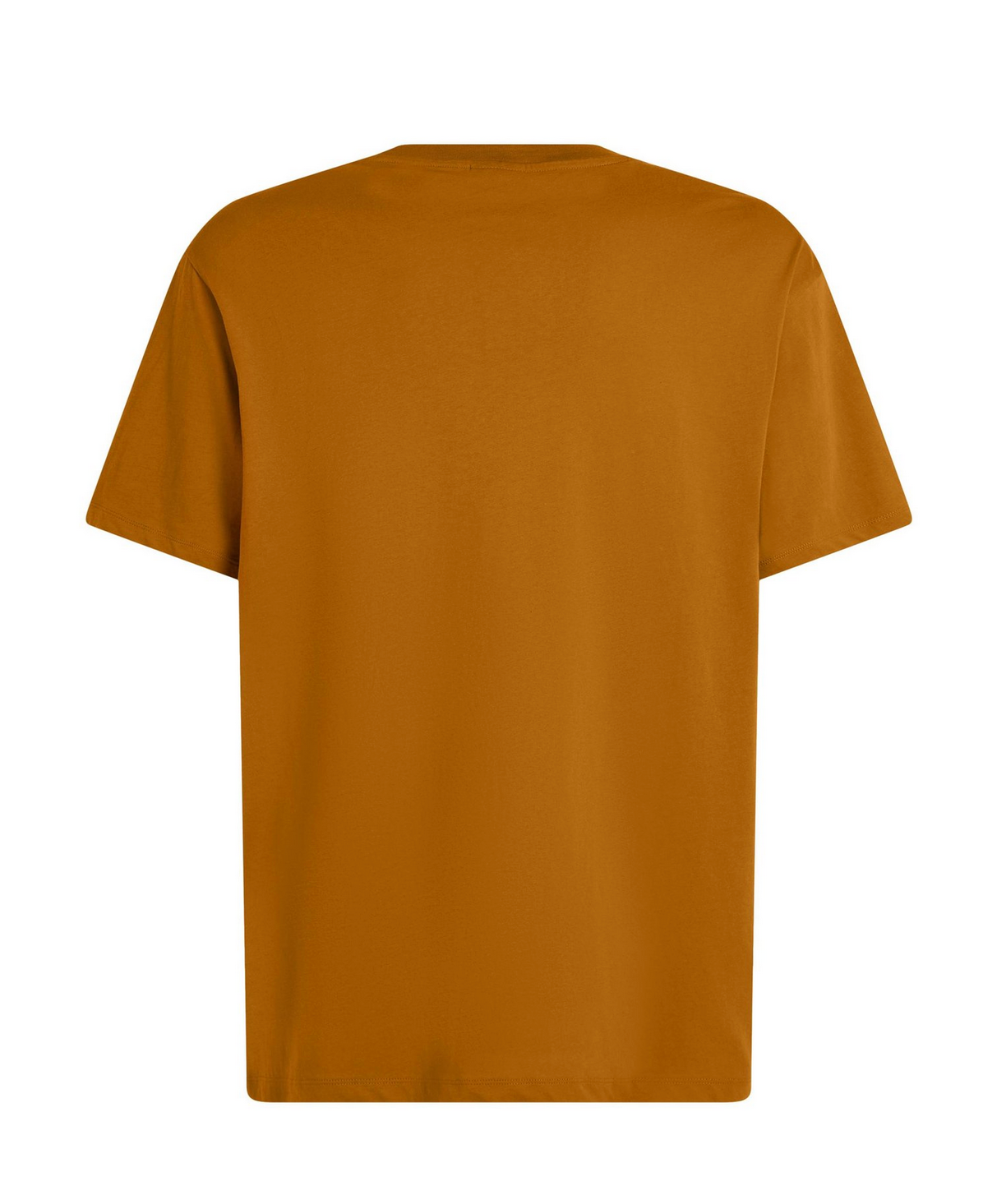 O'Neill O'Riginals Cali T-Shirt (Tandoori) - Wetndry Boardsports - Back